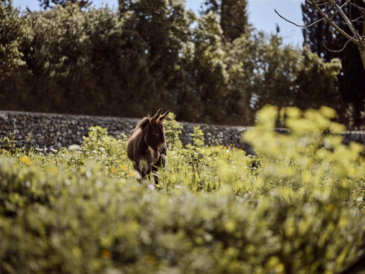 Alkis Farm And Residence Gyri Екстер'єр фото