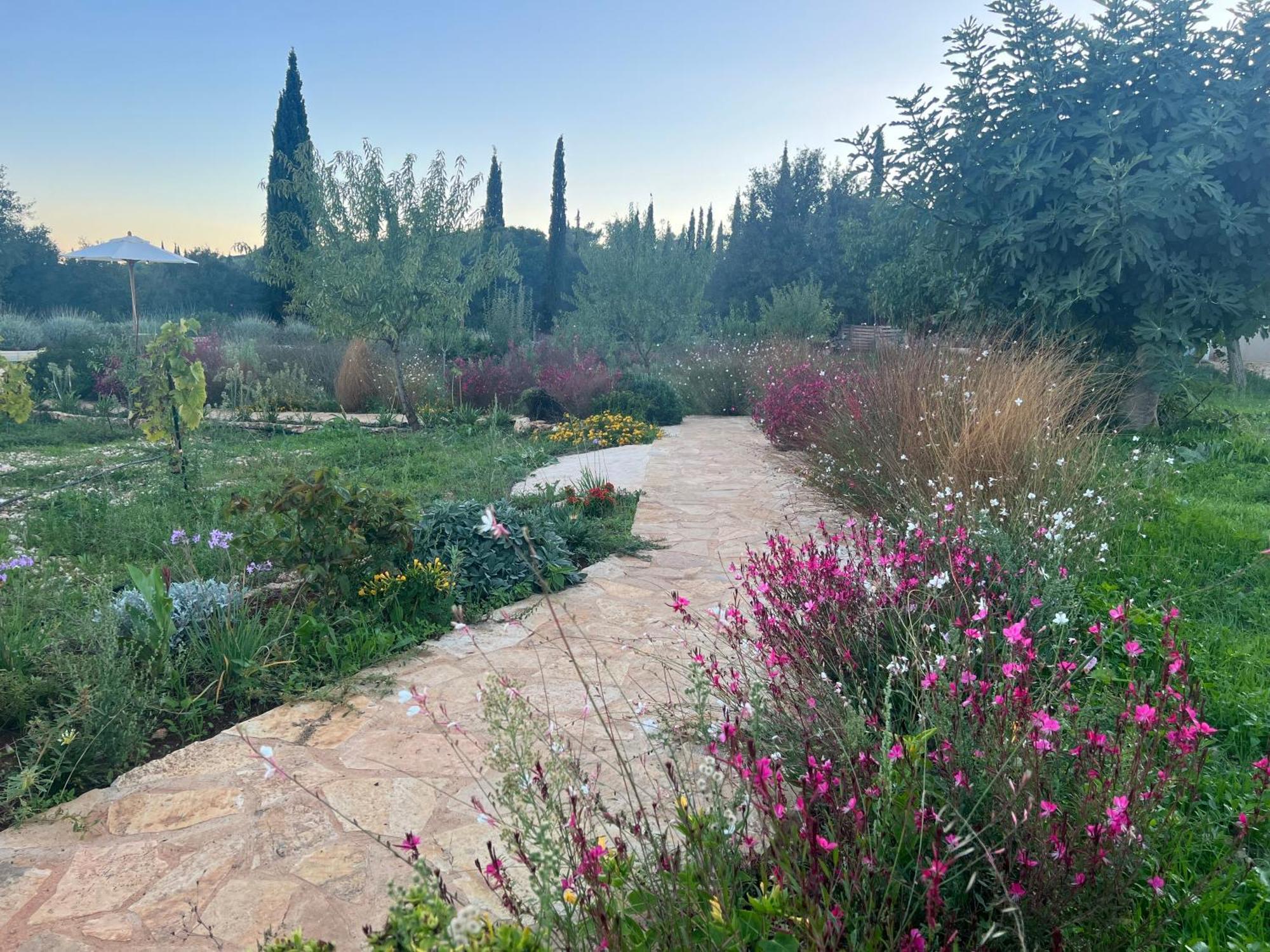 Alkis Farm And Residence Gyri Екстер'єр фото
